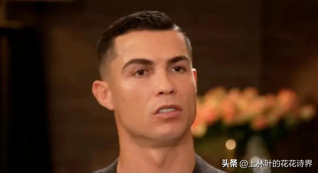 卡塔尔世界杯伪球迷经典语录,世界杯伪球迷搞笑段子