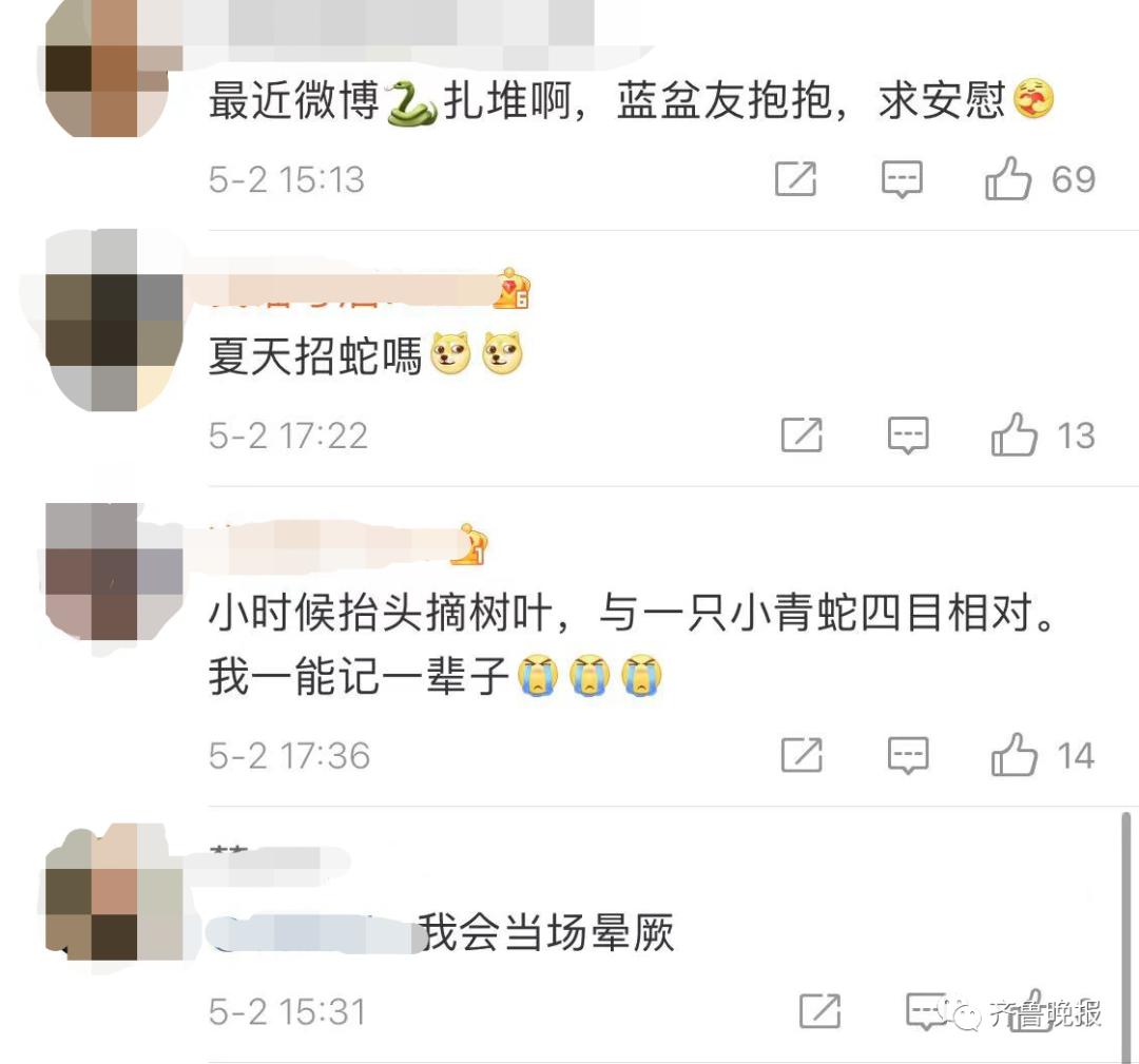 蛇总是偷吃鸡蛋怎么办,2米长蛇惊现居民楼