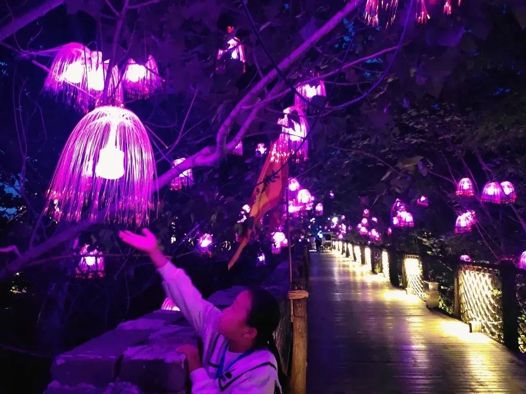 开封旅游未成年免票,开封景区最新门票标准及免票标准