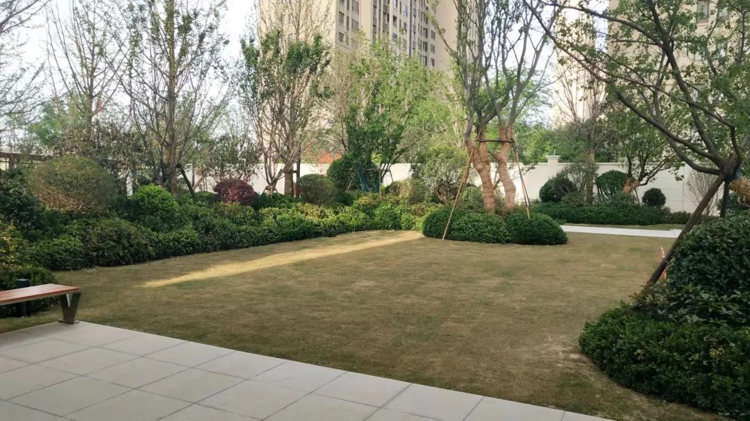 交房维权最后结果都咋样了,最新业主交房维权