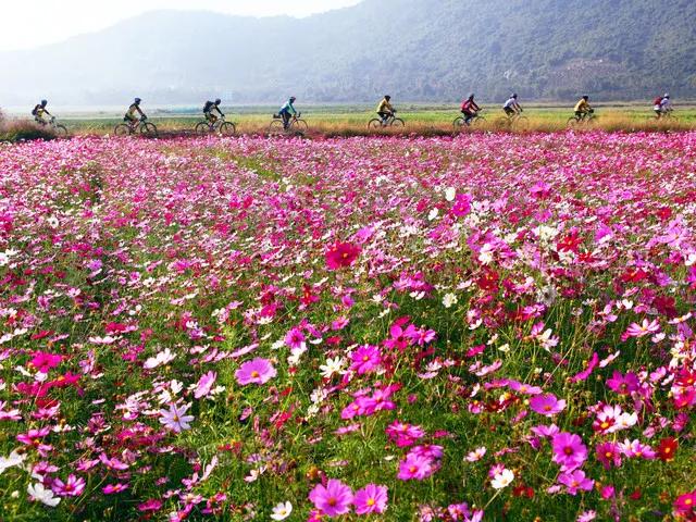 为什么不建议盲目来大理定居,大理真的值得居住么