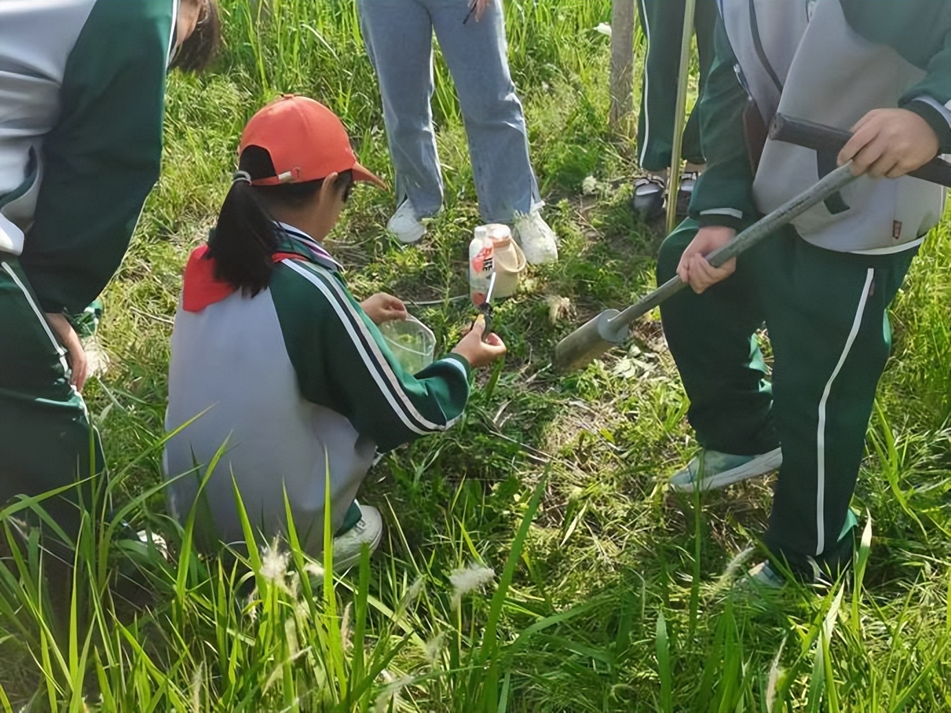 小学科学科普活动,热爱科学崇尚科学科普讲解