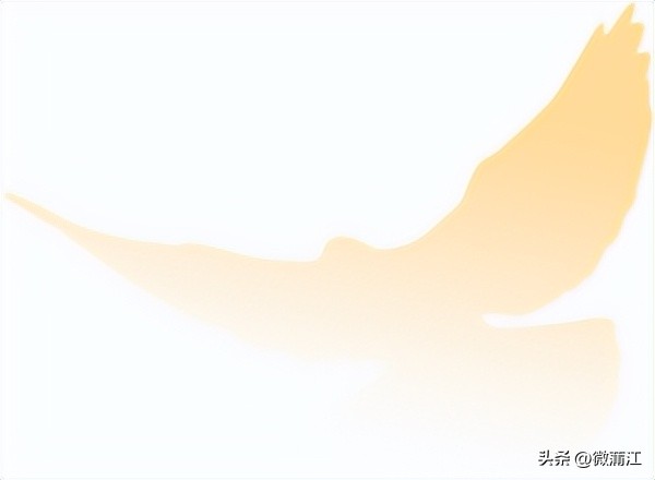 110中国人民警察节成都,成都110人民警察节