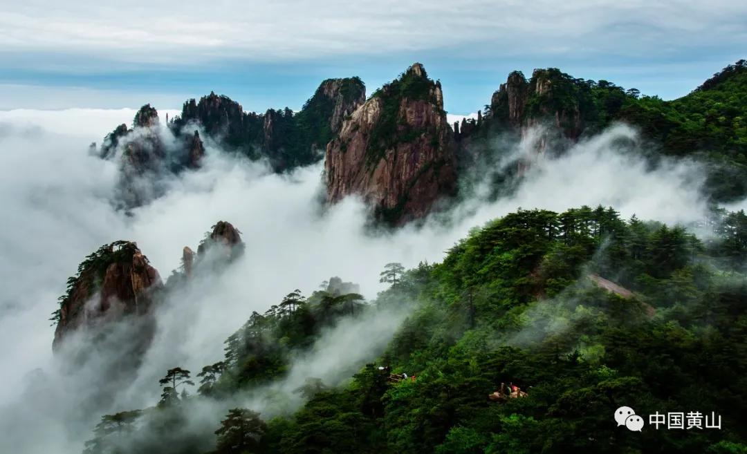 四季黄山,最治愈你的是哪一个季节