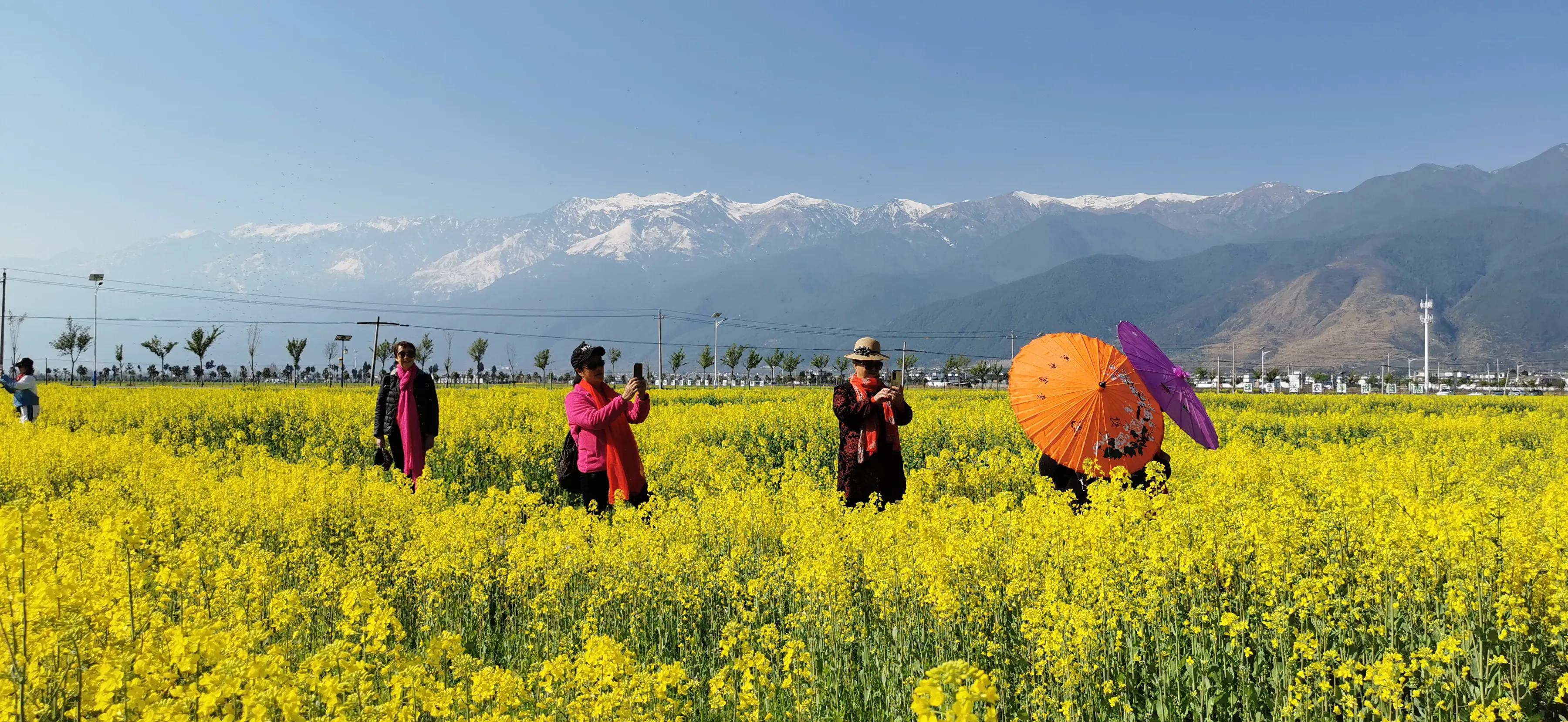 手拍世界近期作品,手拍世界完整版视频