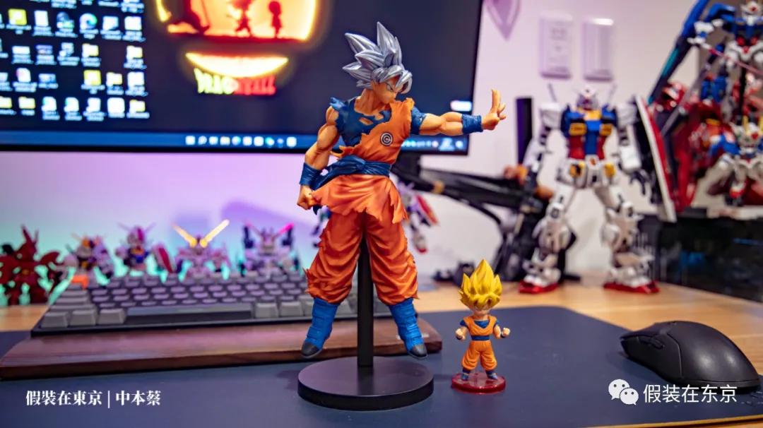 365张照片回顾,365张相片