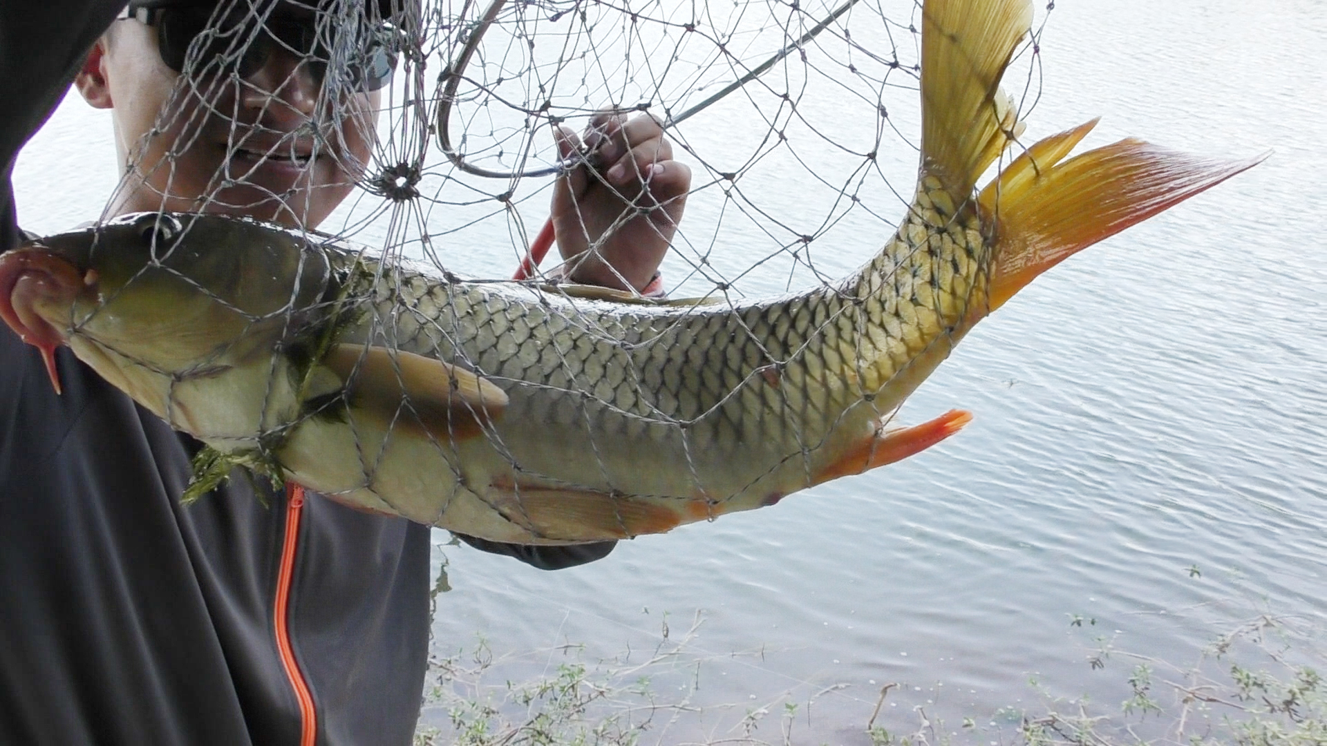 浅谈夏季雨中作钓，鱼儿成群且口好，细节留意把护爆