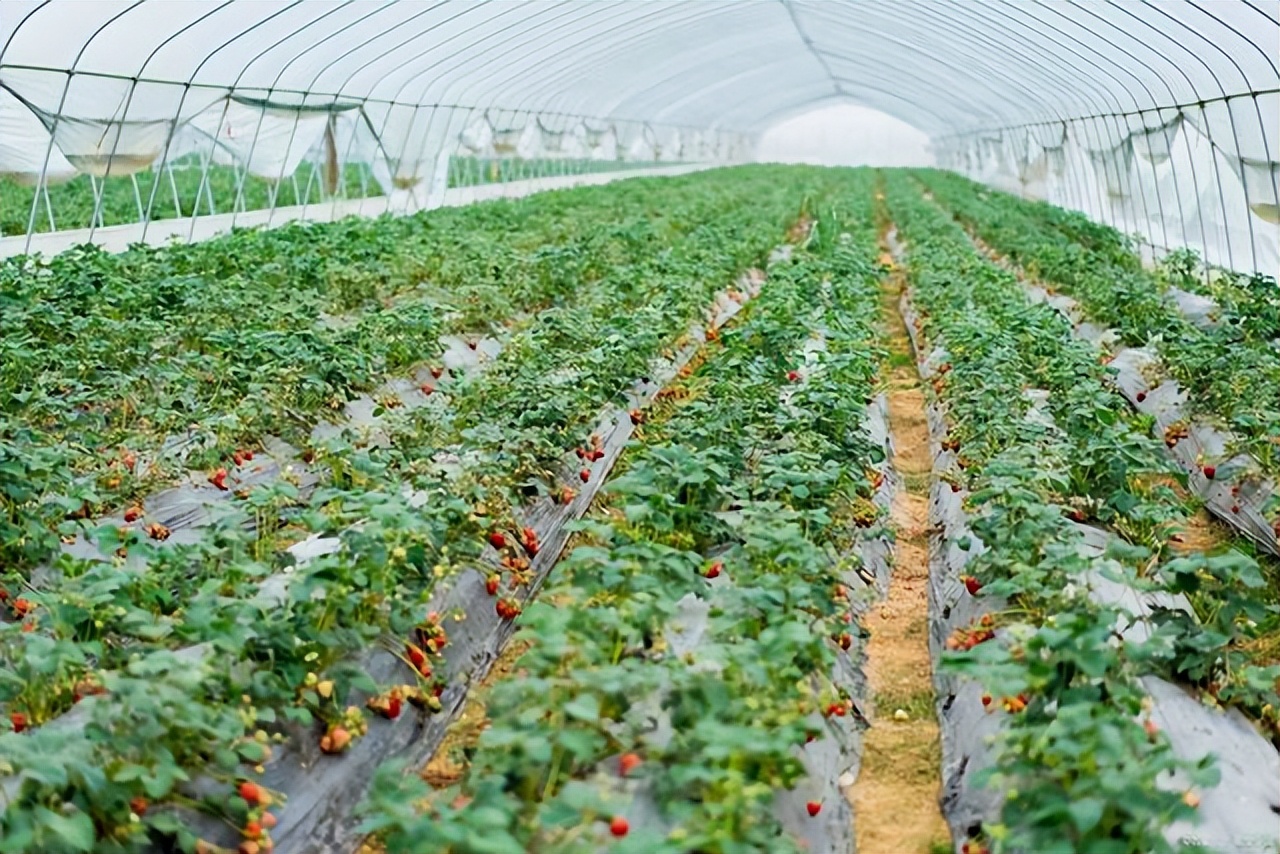 穷人要翻身的行业都有哪些,手把手教你穷人翻身的行业