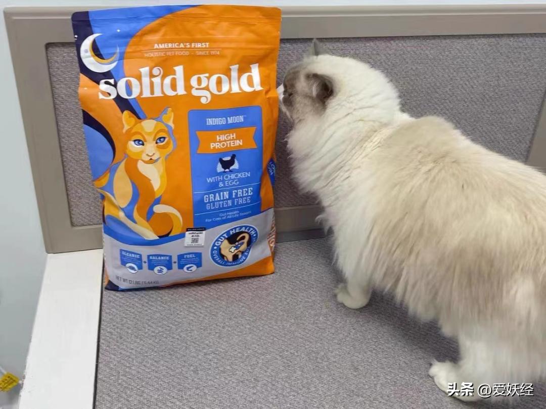 吃瓜！吃完素力高猫粮猫主子呕吐、拉稀？老狐狸实锤来了！