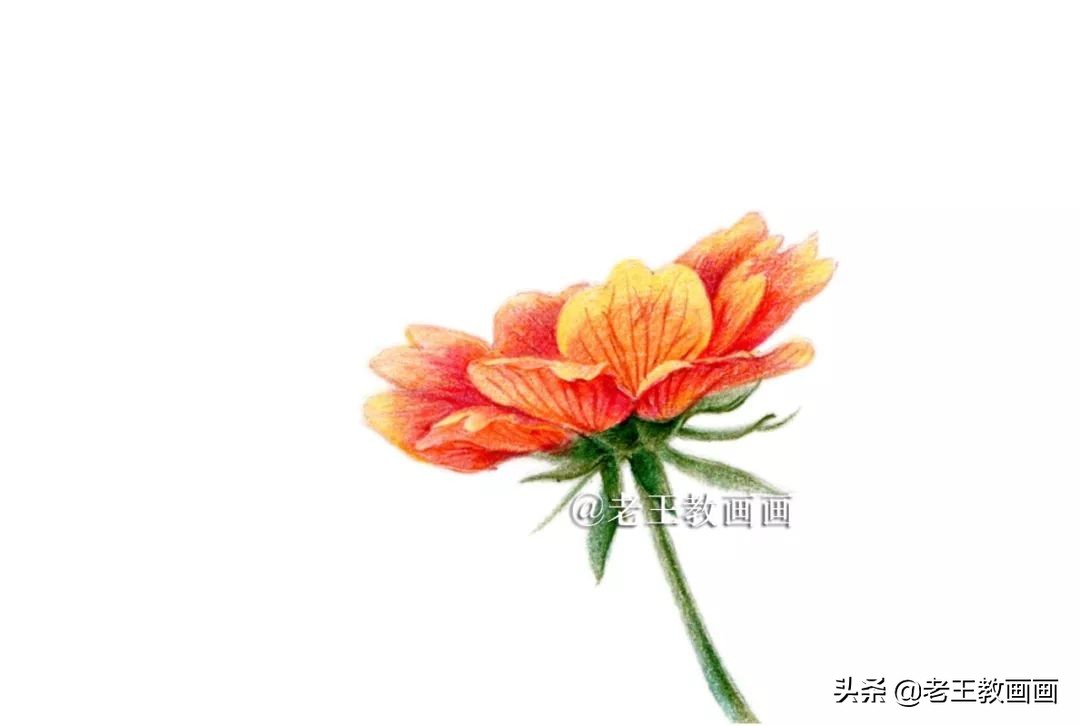 用彩铅画花教程,用彩铅画花小楼