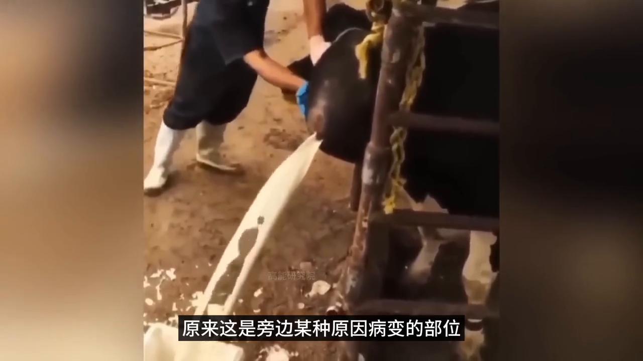 喷奶的牛？会隐身的大山？8个让你匪夷所思的瞬间！#离奇事件