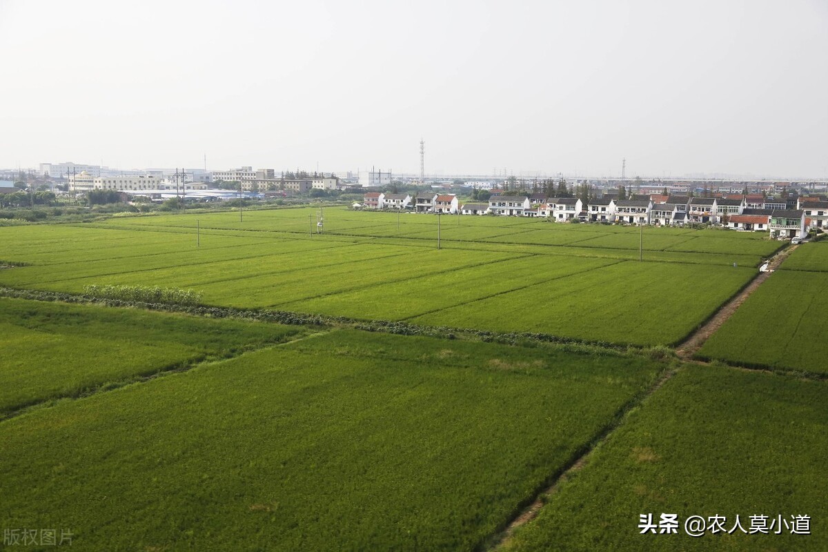 想流转土地要怎么找地,想承包农民土地有什么办法