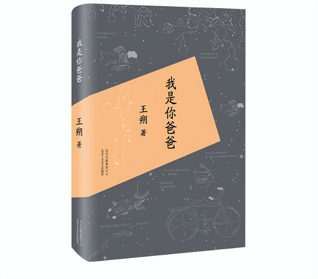 第二届青春好书排行榜,十月好书推荐书单