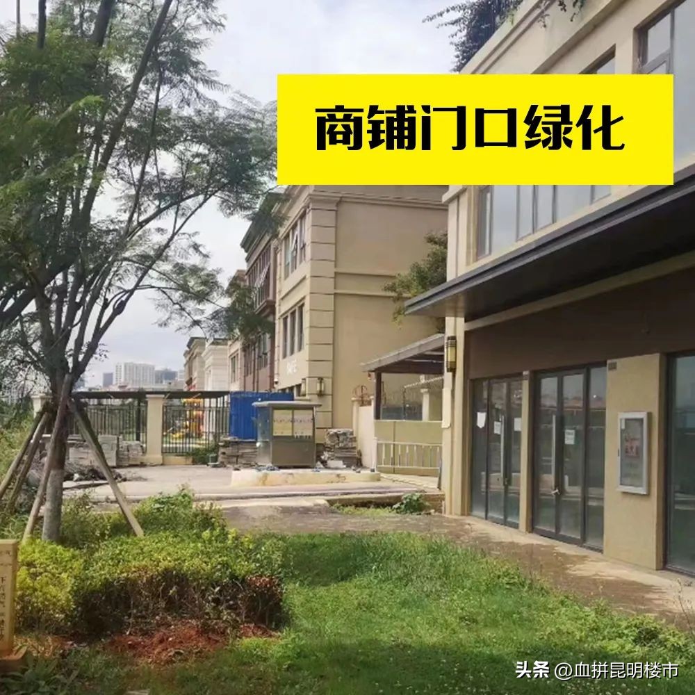 人工草能算绿化面积吗,草坪绿化面积怎么量