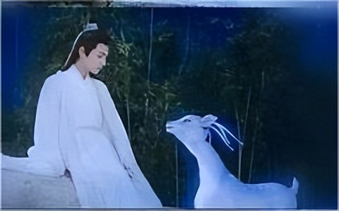 不知江月待何人暗示什么,不知江月待何人出自哪首诗