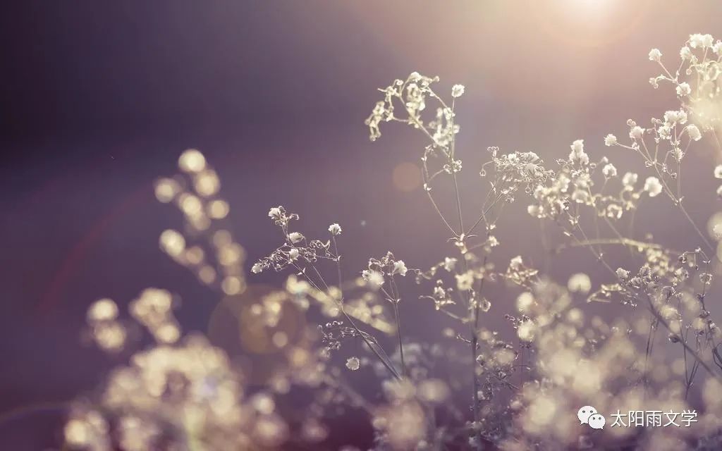 许志:母亲的挑战不可能