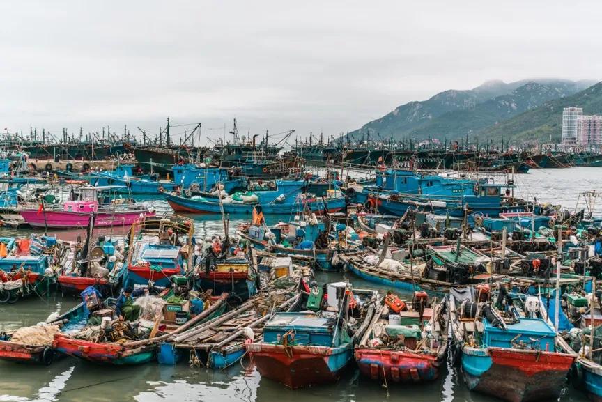 春节潮汕行腾龙28-75mmG2使用体验分享