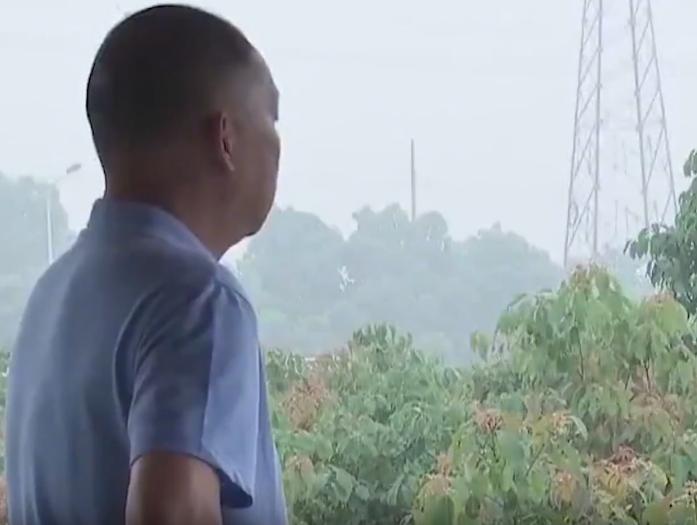 北京男子捡到乌龟饲养7年,北京男子捡到乌龟养了8年