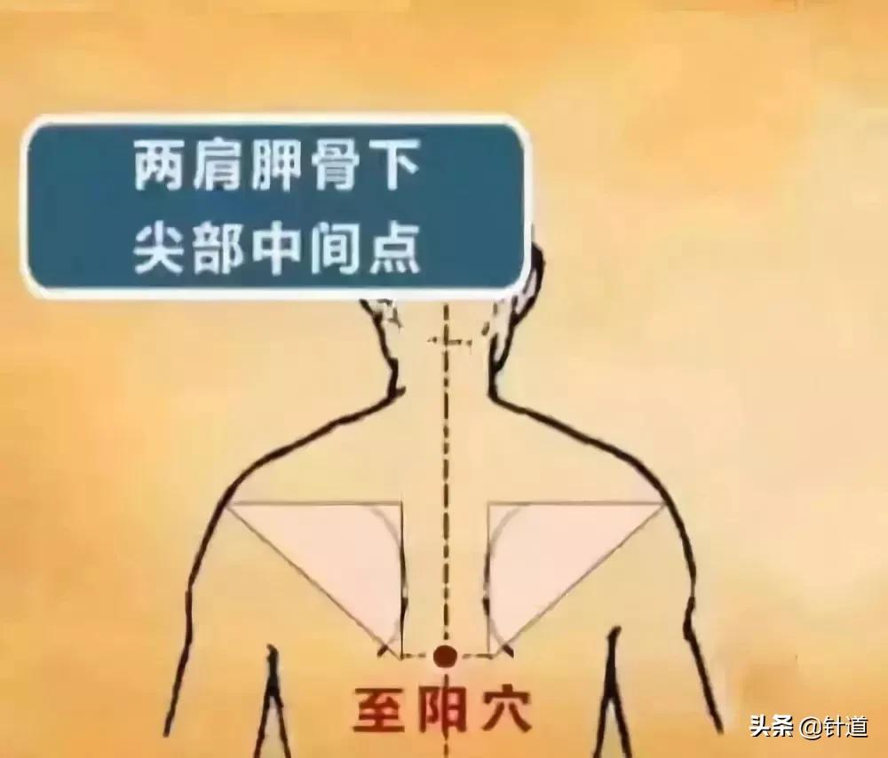 一招治愈心绞痛,一针救心脏病