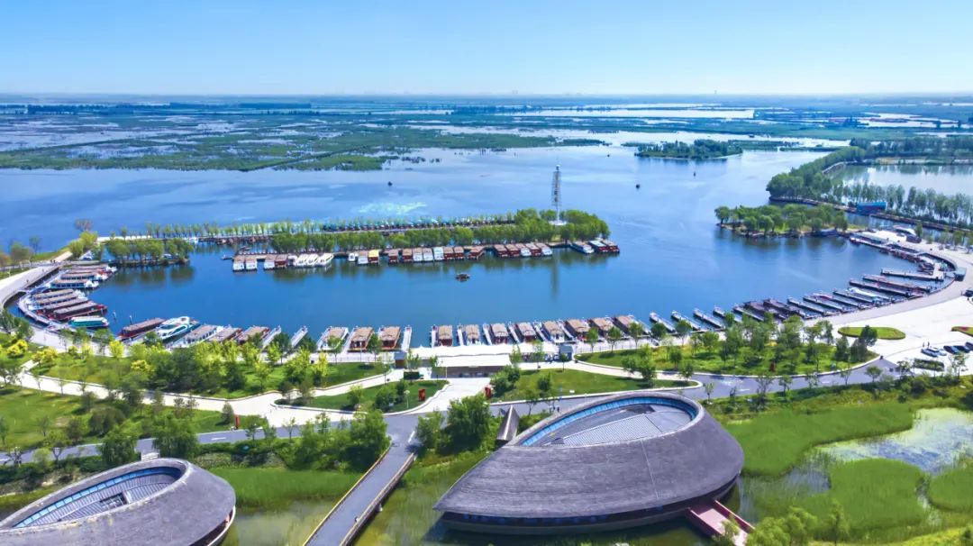 盛夏时节荷花盛开,盛夏去看荷花