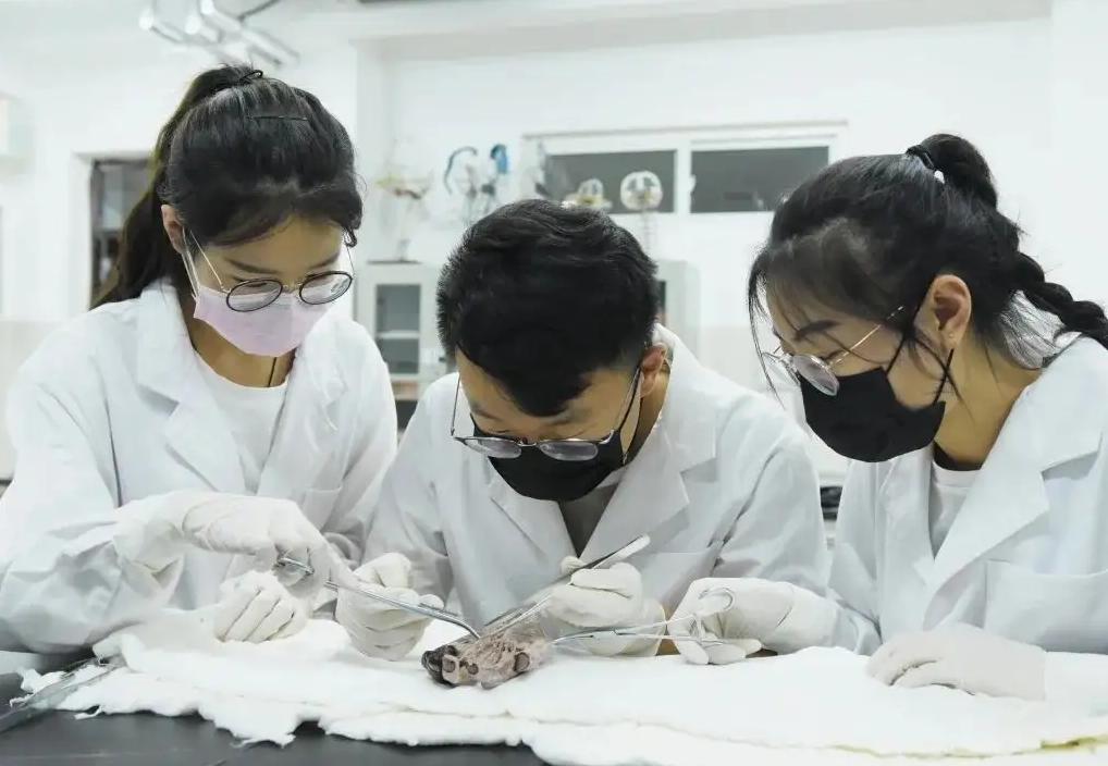 医学满意度,中医幸福感