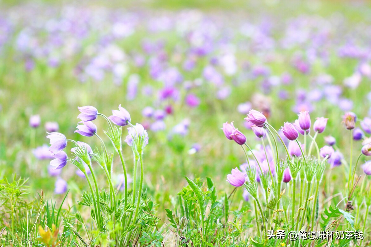 想要赚钱必须要想明白这12个问题,要想赚钱只要五种方法