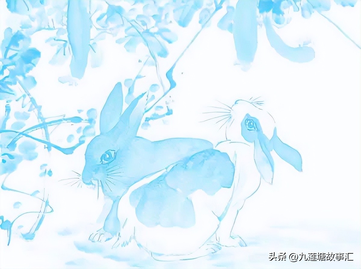 站立的兔子侧面,站立的兔子简笔画