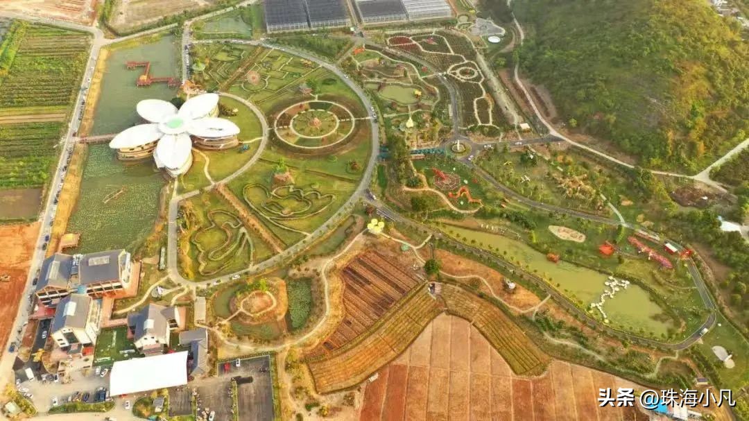 刚刚开通！莲洲⇋香洲！10元往返+区域无限次…