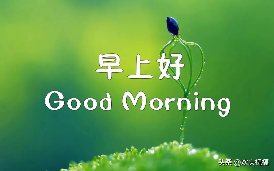 友情问候语早上好图片大全,早上好祝福语图片优美表情