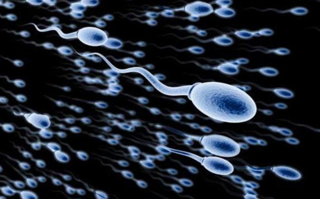 一个人来到世上真实的概率,一个人来到人间有多不容易