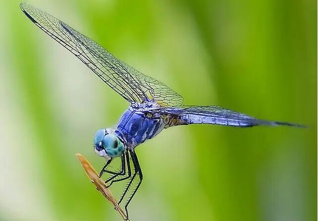 红木家具沙发脚加工流程,木工车床加工沙发脚视频