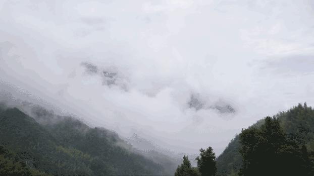 丽水松阳最好的民宿,松阳顶级民宿排名