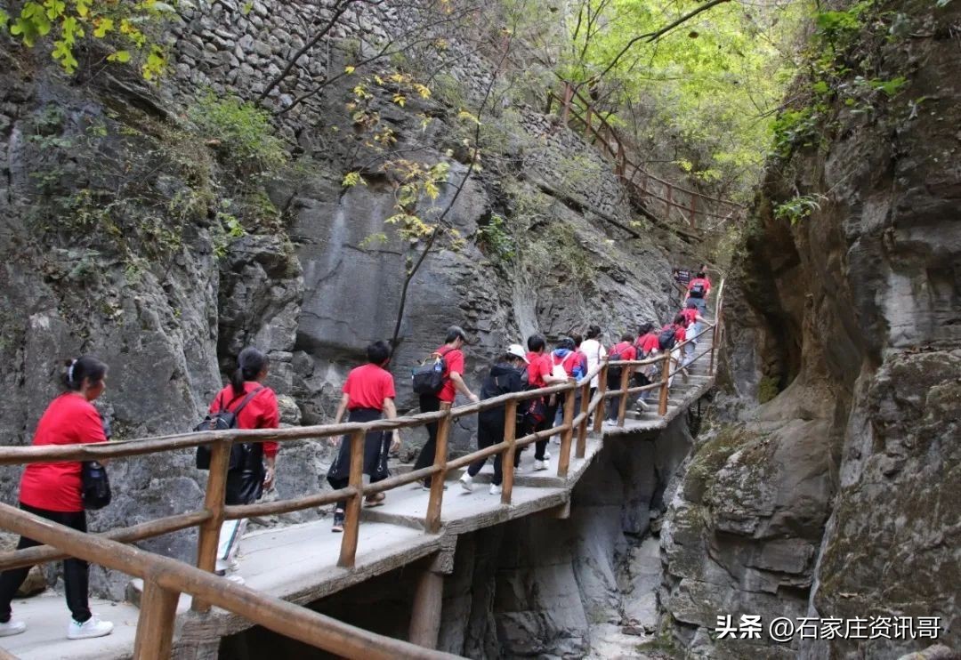 情动金秋|热烈庆祝河北中医肝病医院建院39周年