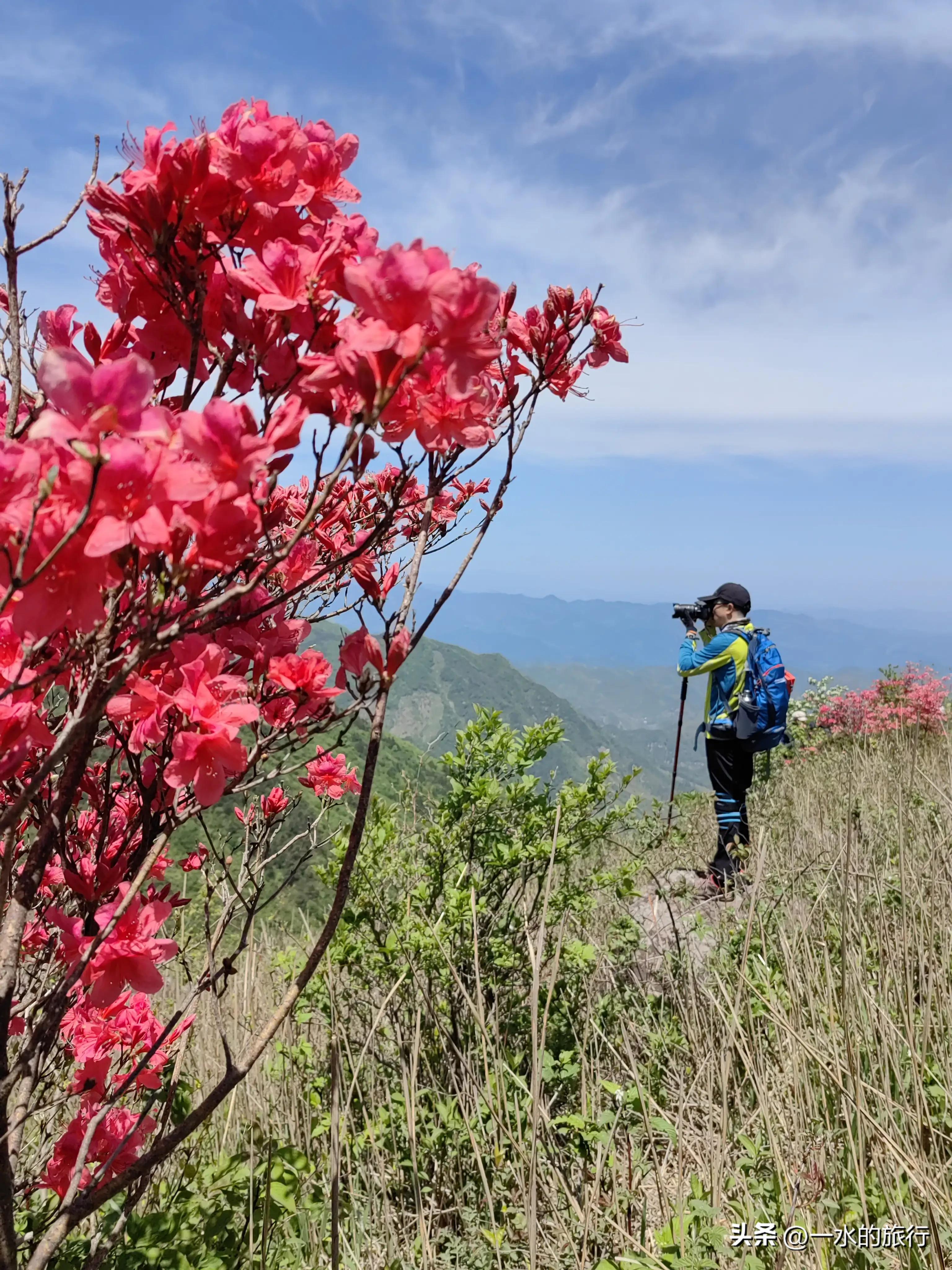 自驾江南秘境旅游,中国十大古道自驾游