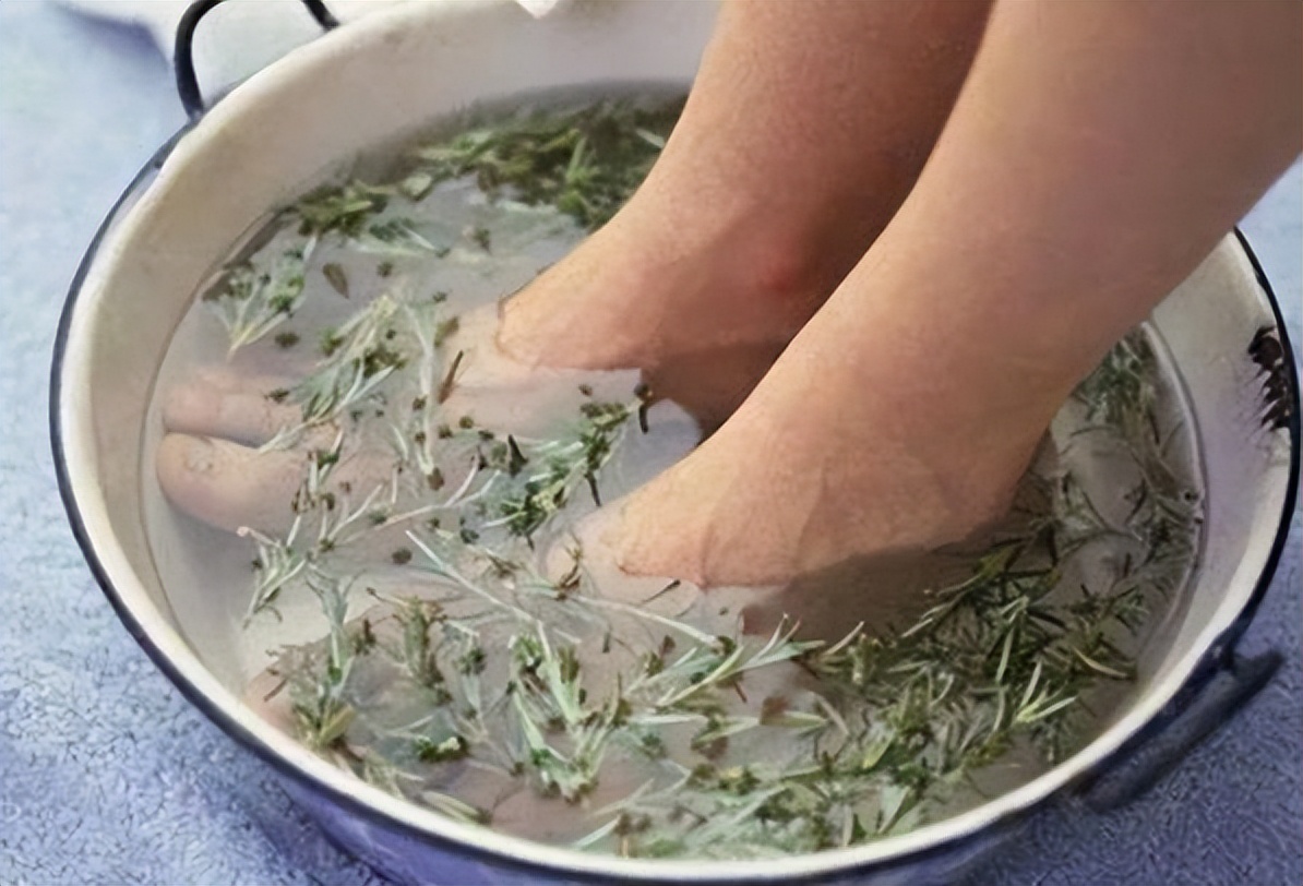 节节草能长期泡水喝吗有什么功效,老人用节节草泡脚的功效