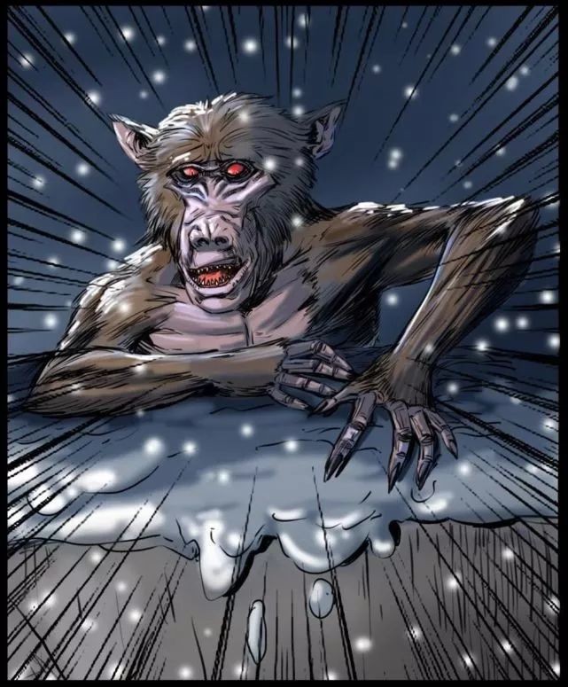 国人害怕的老猫猴子，居然是从非洲来的？黑毛白脸的怪物是什么？