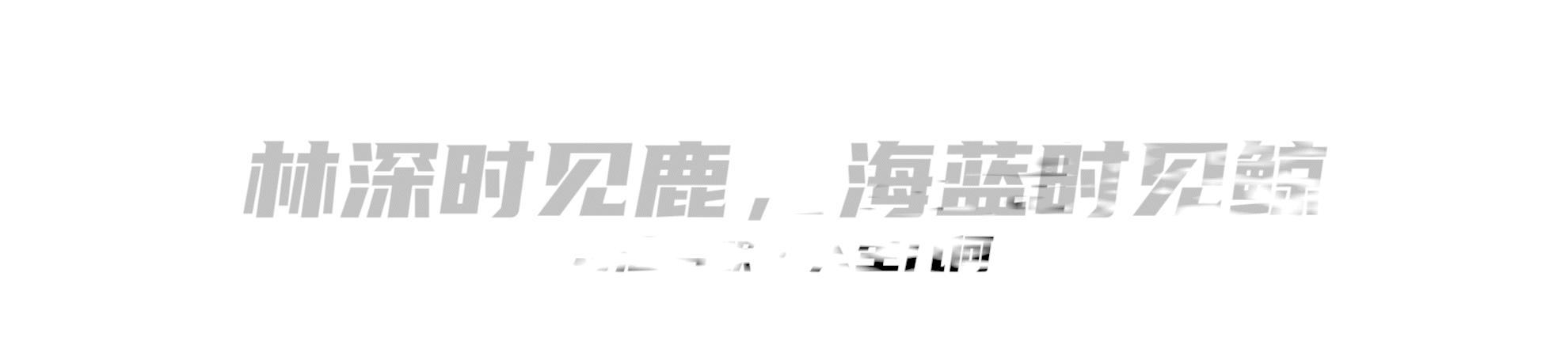 阿甘正传在电影史上的意义,电影阿甘正传中阿甘的信念是什么