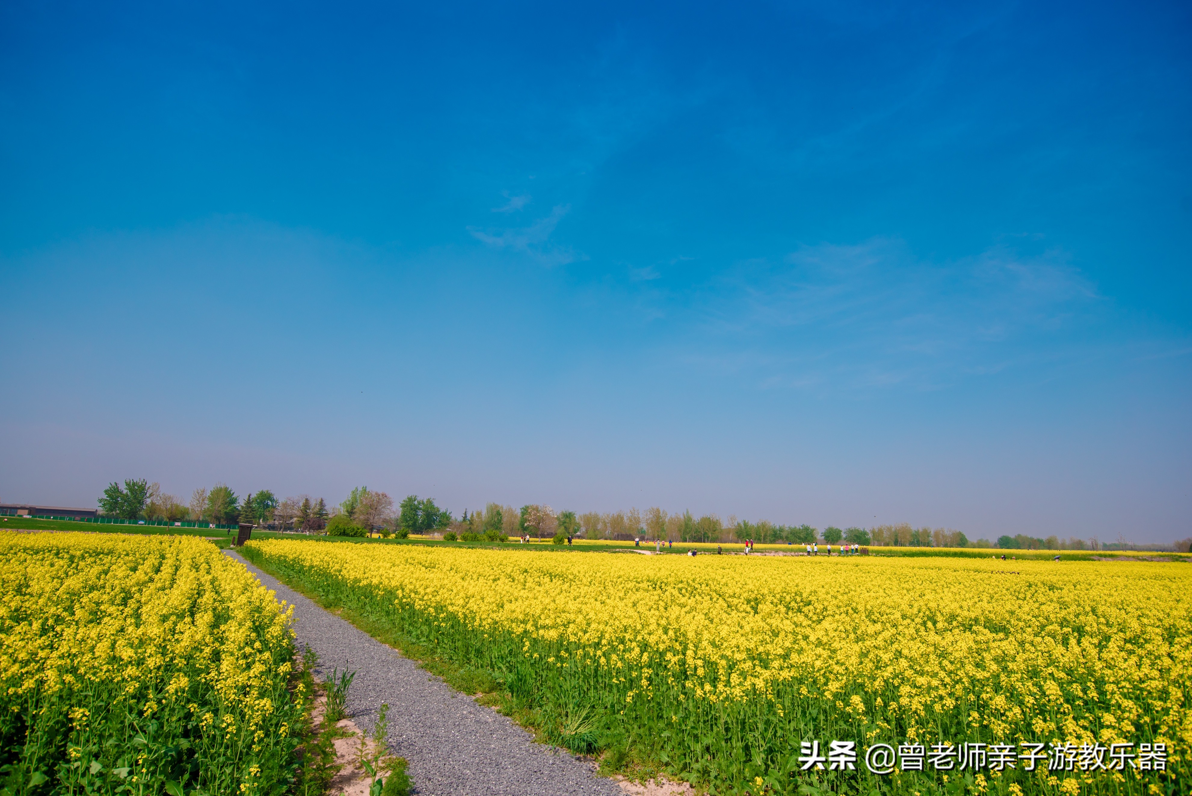 2022西安遛娃一日游的绝佳去处,2022年春节西安遛娃去哪玩最合适