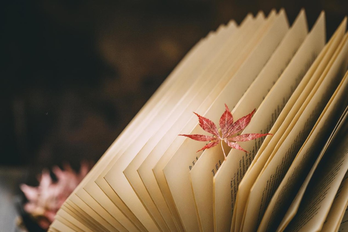 对于职高学生来说，3+2大专和单招大专，有什么区别？|钉考