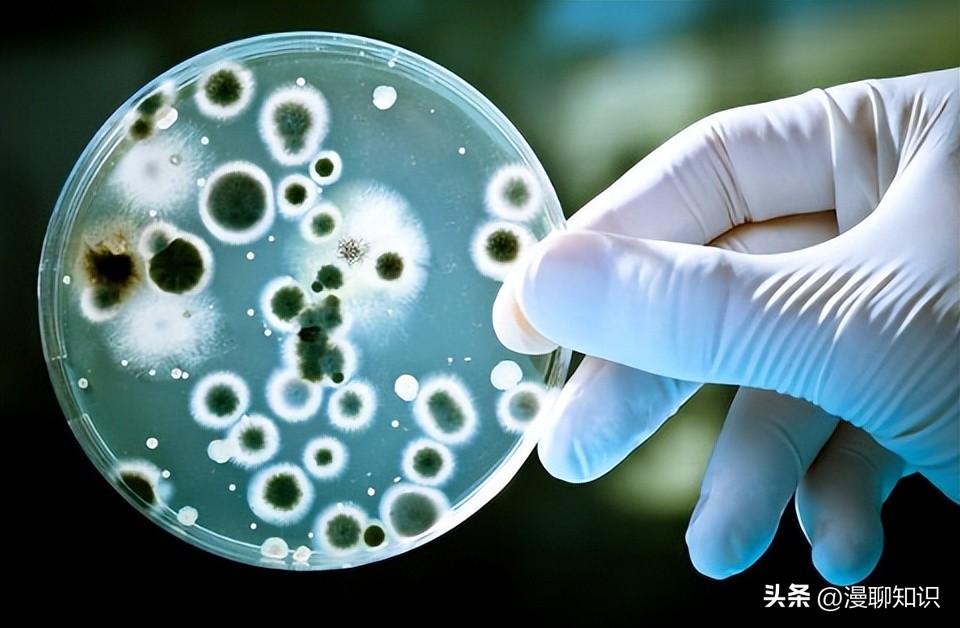 慢性复发性骨髓炎儿童案例,青少年得慢性骨髓炎能治好吗