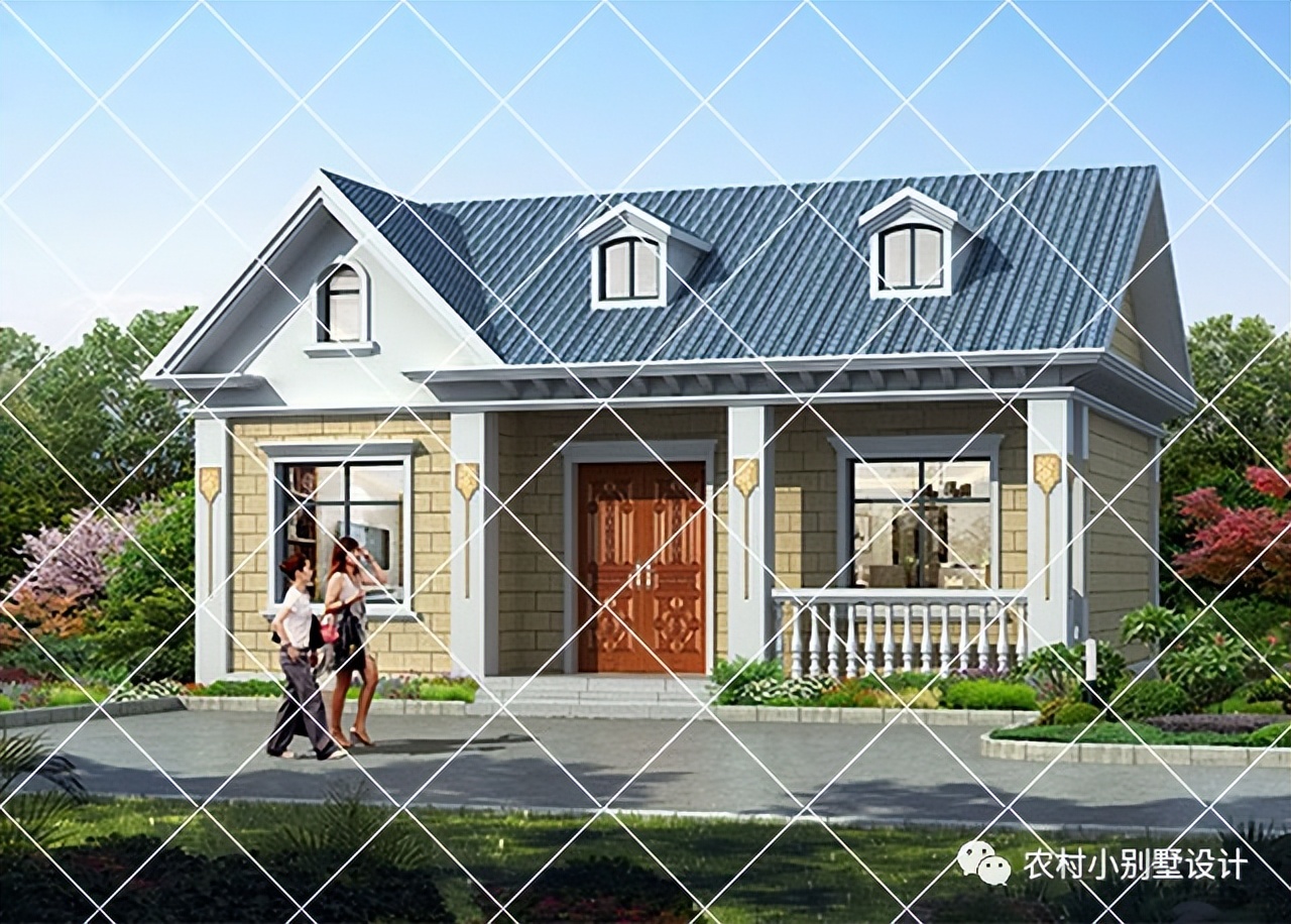 一层半层小别墅新款农村自建房,农村自建房一层别墅设计最新款