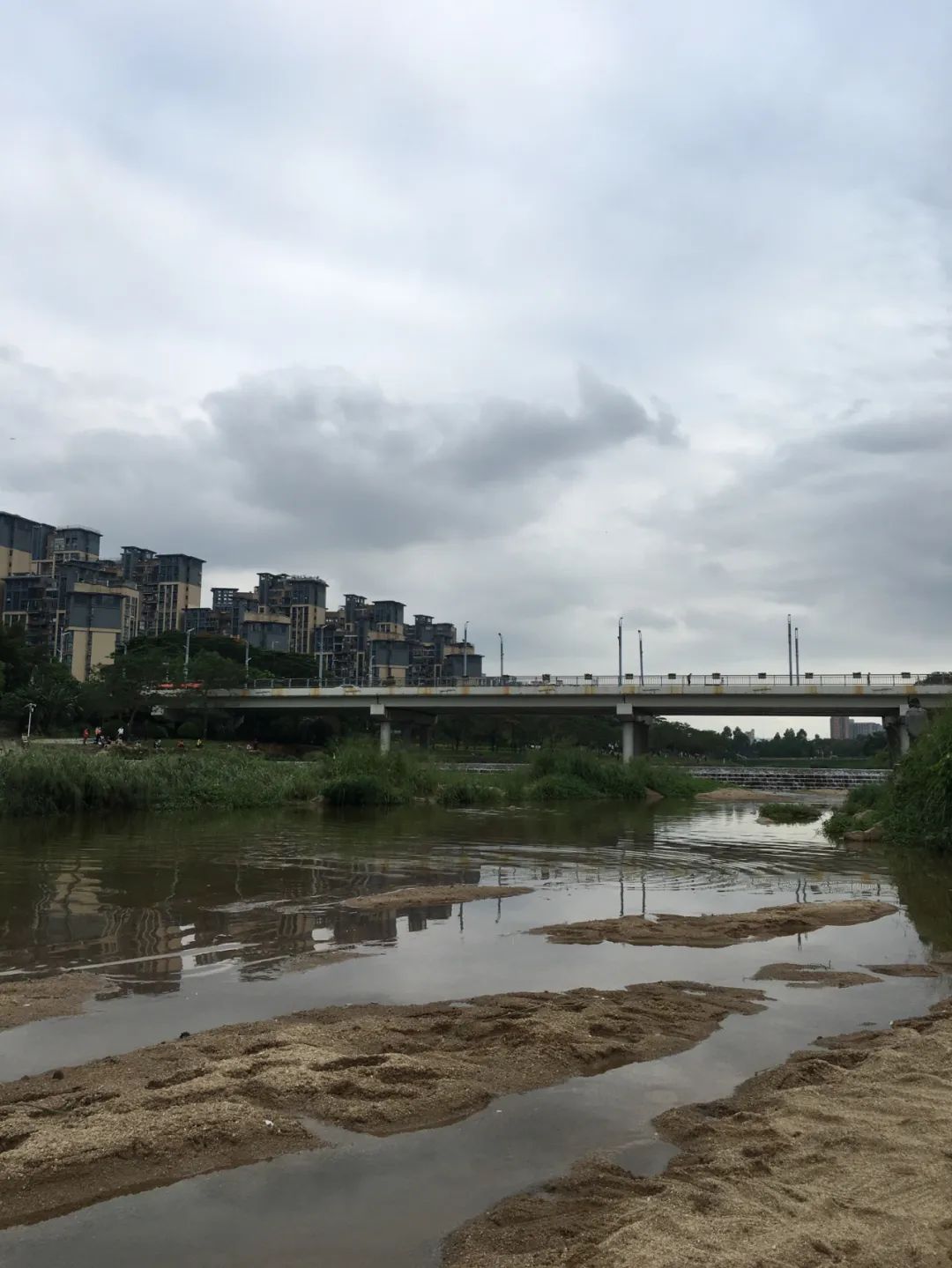 《旭光骑行深圳》第22站——龙华区观湖街道