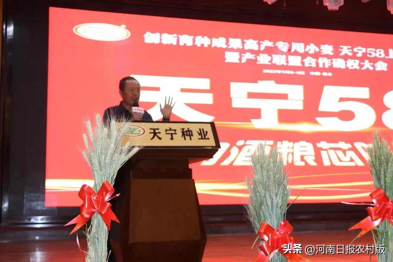 “麦”向酒粮“芯”时代！高产专用小麦天宁58观摩会暨上市发布会顺利举行