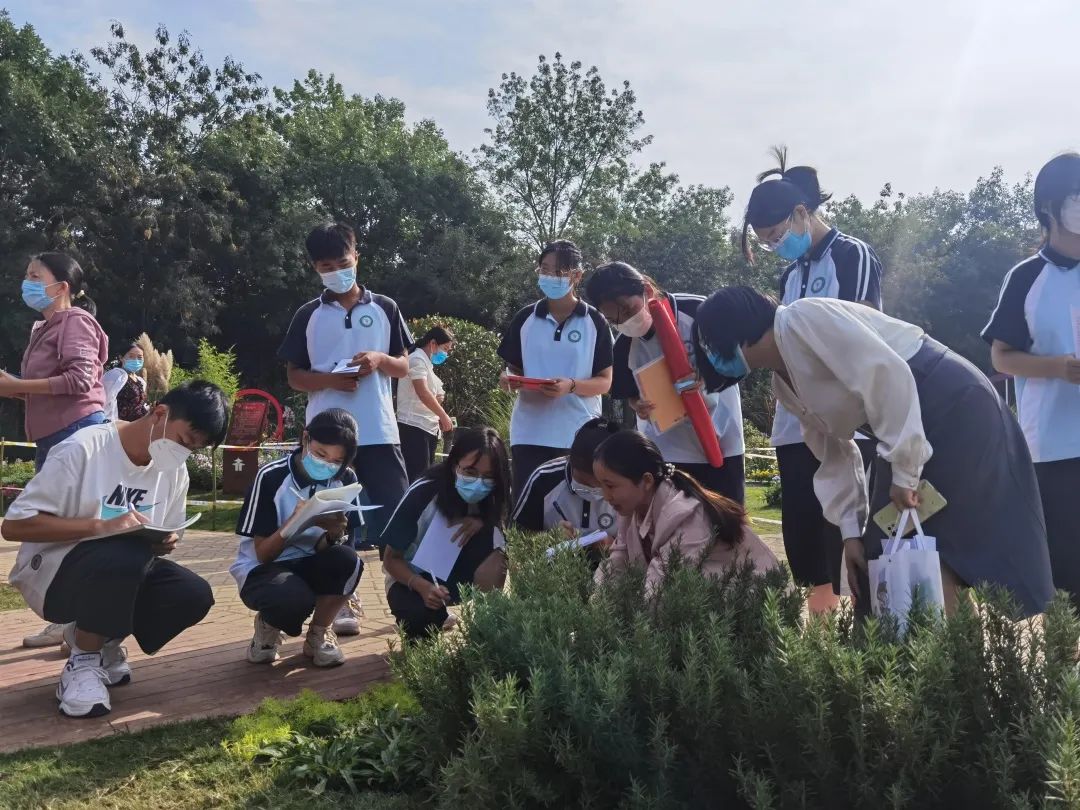 洛龙区十二中研学活动,洛阳研学实践活动