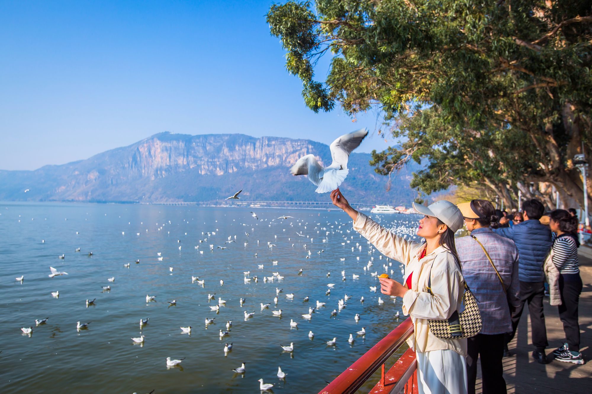 昆明滇池海埂公园有什么好玩的,昆明滇池海埂公园有没有沙滩