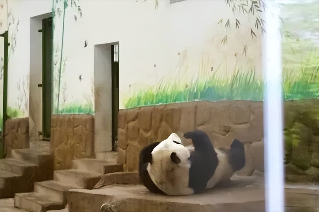 浙江市区度假酒店推荐,浙江轻奢酒店值得推荐