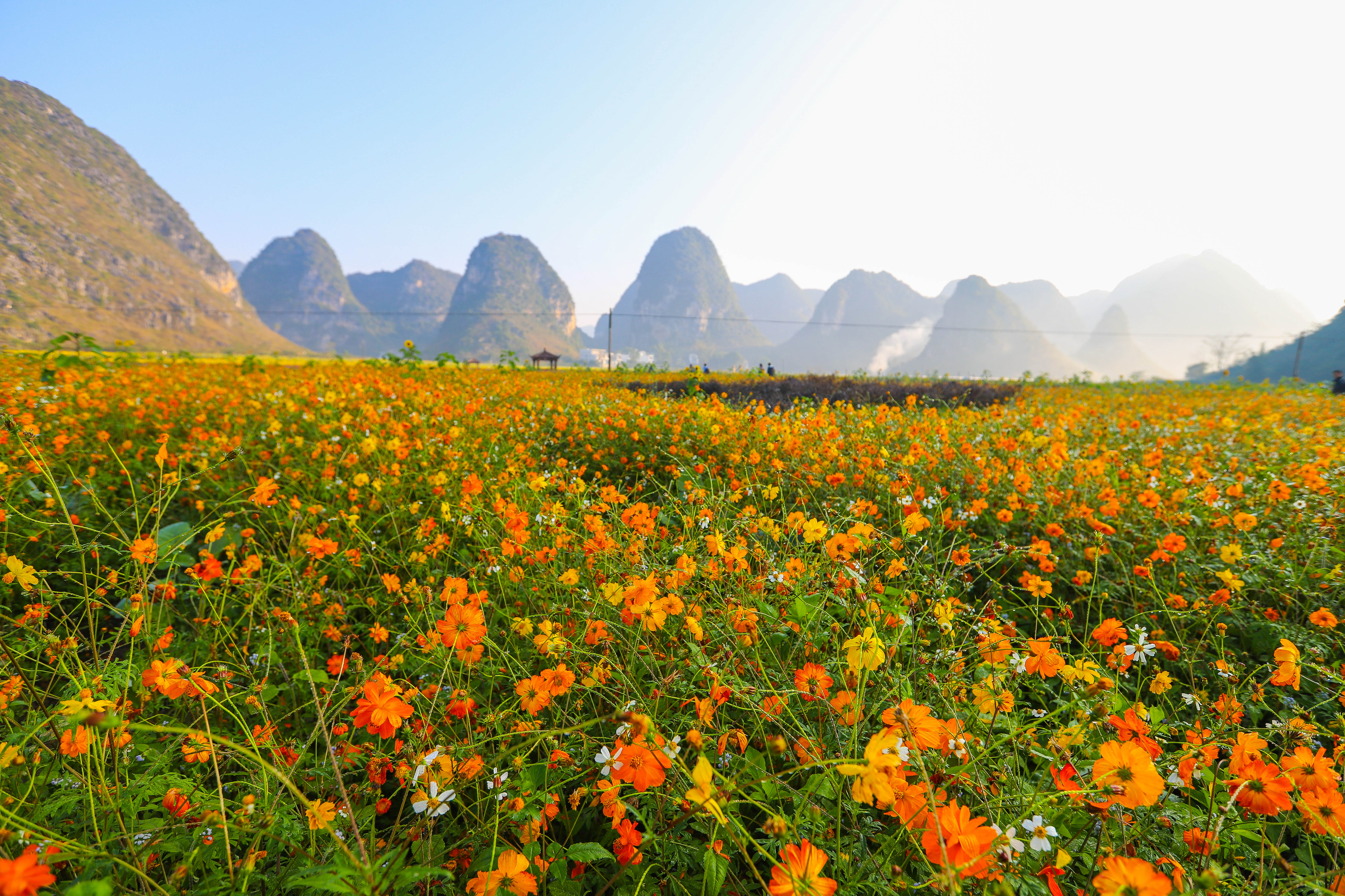 广西最美的旅游小镇,广西春天赏花