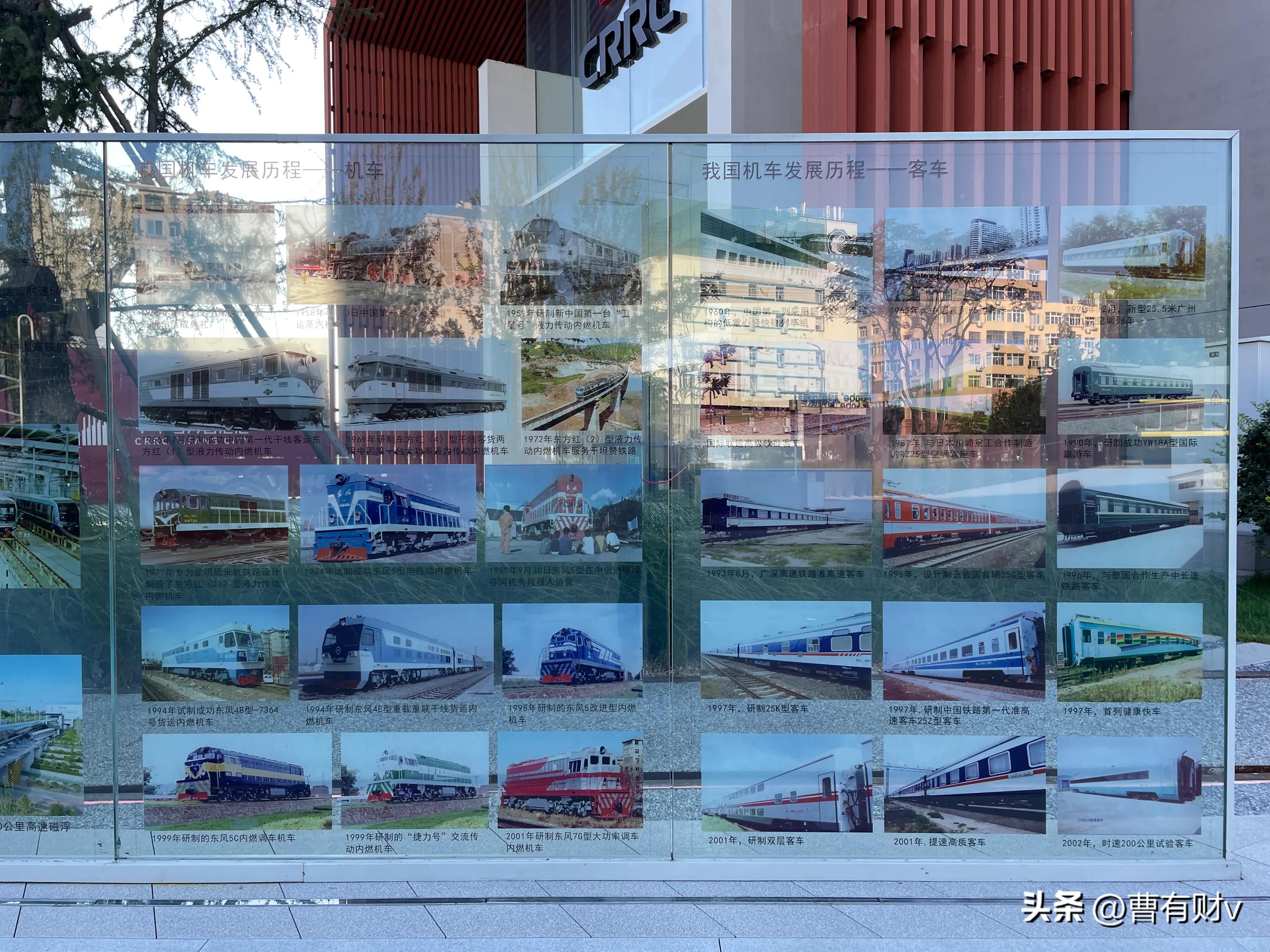 青岛中山公园网红打卡点,青岛亲子游攻略网红打卡地