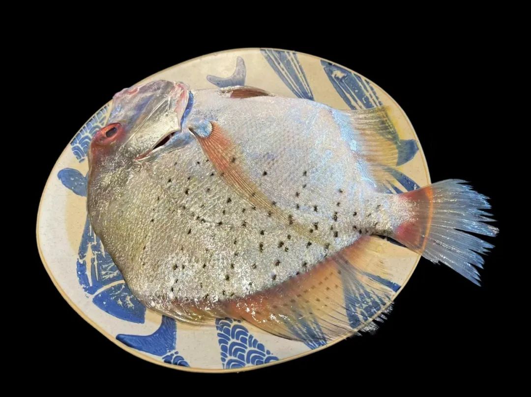 潮爸家4月3日午餐记录，品尝湛江美味海鱼，清蒸鸡笼鲳