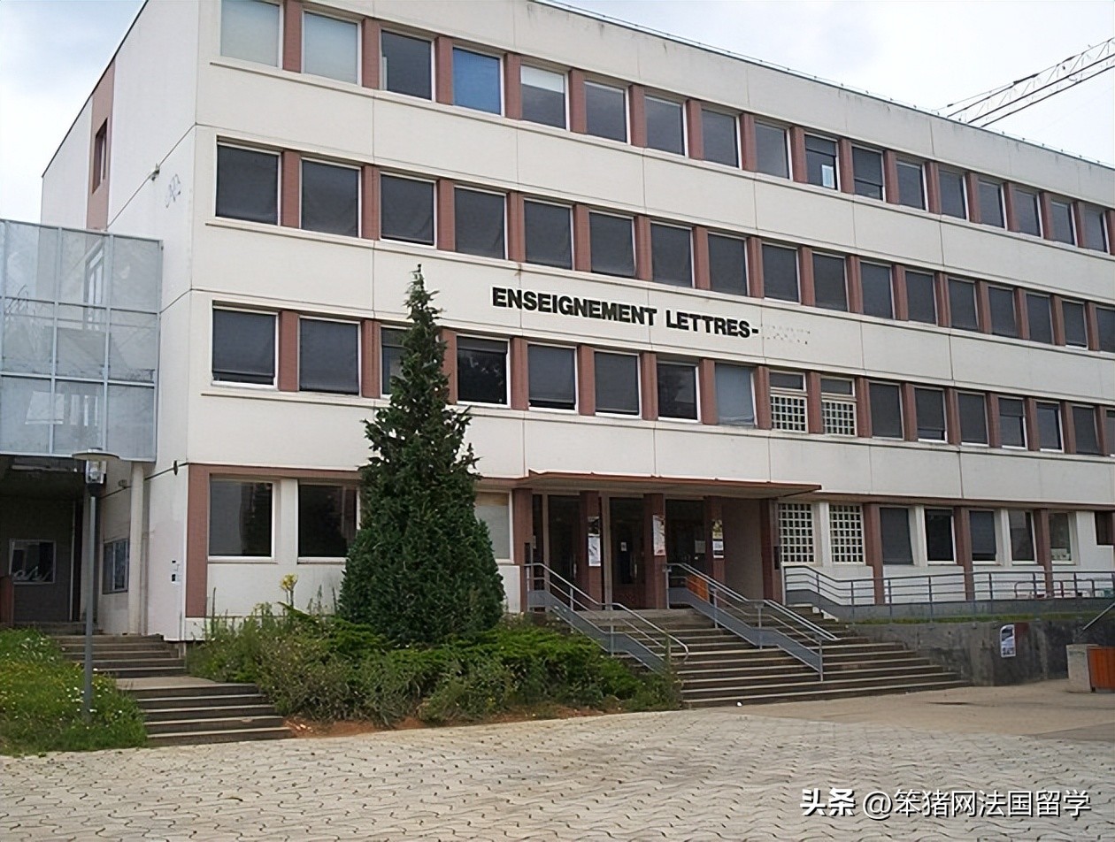 笨猪法语中文,笨猪法语